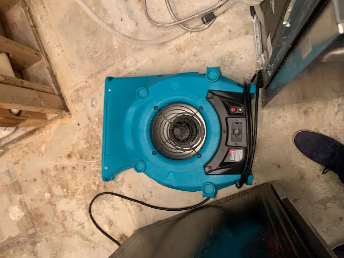 Air mover drying equipment for Mold Remediation & Removal in Camden